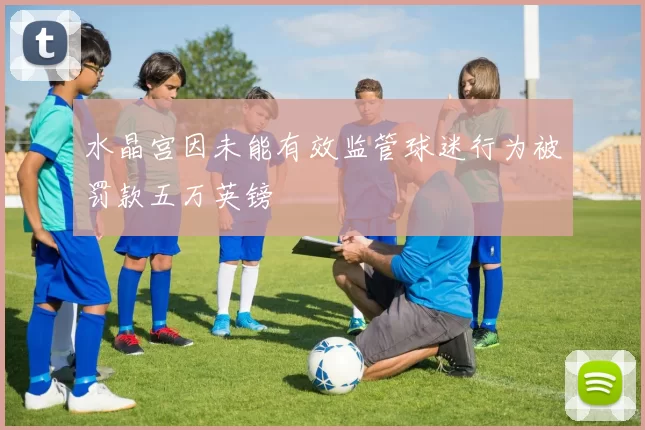 水晶宫因未能有效监管球迷行为被罚款五万英镑